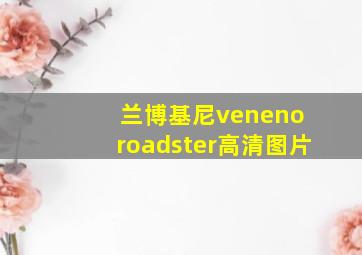 兰博基尼veneno roadster高清图片